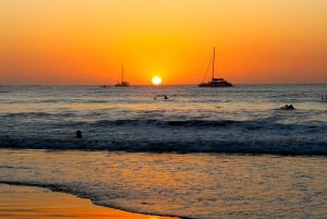 Tamarindo, Guanacaste Tur med sköldpaddsboning Tamarindo, Guanacaste, CR