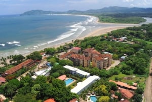 Tamarindo, Guanacaste Tur med sköldpaddsboning Tamarindo, Guanacaste, CR