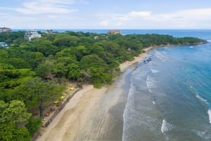 Tamarindo, Guanacaste Tur med sköldpaddsboning Tamarindo, Guanacaste, CR