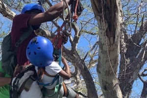 Tamarindo: Ziplining in the Costarican jungle