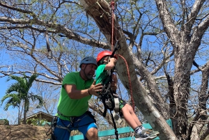 Tamarindo: Ziplining w kostarykańskiej dżungli