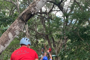 Tamarindo: Ziplining w kostarykańskiej dżungli