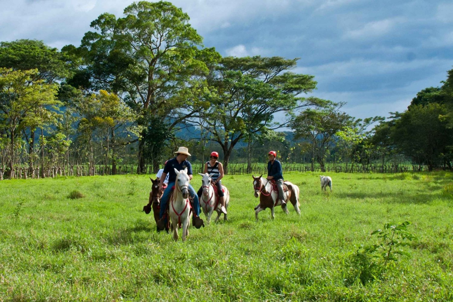Tarcoles : Randonnée à cheval et visite combinée de la rivière Jungle