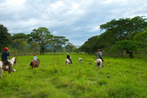 Tarcoles : Randonnée à cheval et visite combinée de la rivière Jungle