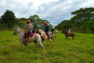 Tarcoles : Équitation, rivière de la jungle et visite de la canopée