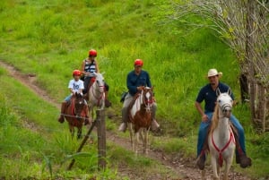 Tarcoles: Horseback Riding, Jungle River and Canopy Tour