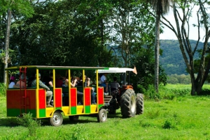 Tarcoles: Passeio de jitney na Hacienda Nosavar