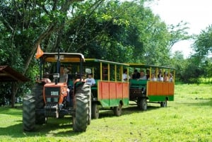 Tarcoles: Jitney-tur i Hacienda Nosavar