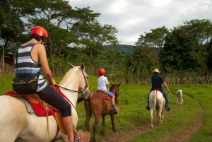 Tarcoles: Tour privato a cavallo e canopy combo