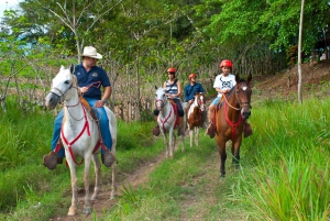 Tarcoles : Visite privée à cheval et visite combinée de la canopée