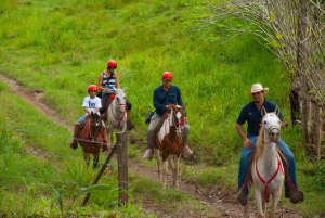Tarcoles: Tour privato a cavallo e canopy combo