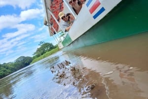 TARCOLES RIVER: JUNGLE CROCODILE SAFARI & BIRD WATCHING TOUR