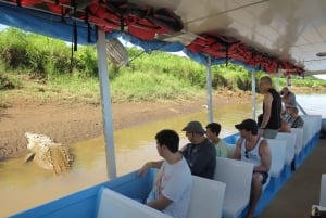 Tarcoles-joki: Bird Watching Tour: Jungle Crocodile Safari & Bird Watching Tour