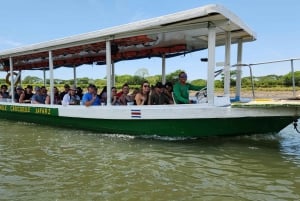 Tarcoles-joki: Bird Watching Tour: Jungle Crocodile Safari & Bird Watching Tour