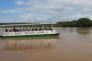 Tarcoles-joki: Bird Watching Tour: Jungle Crocodile Safari & Bird Watching Tour