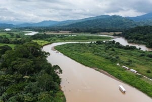 Tarcoles-joki: Bird Watching Tour: Jungle Crocodile Safari & Bird Watching Tour