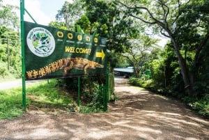 Tarcoles-joki: Bird Watching Tour: Jungle Crocodile Safari & Bird Watching Tour