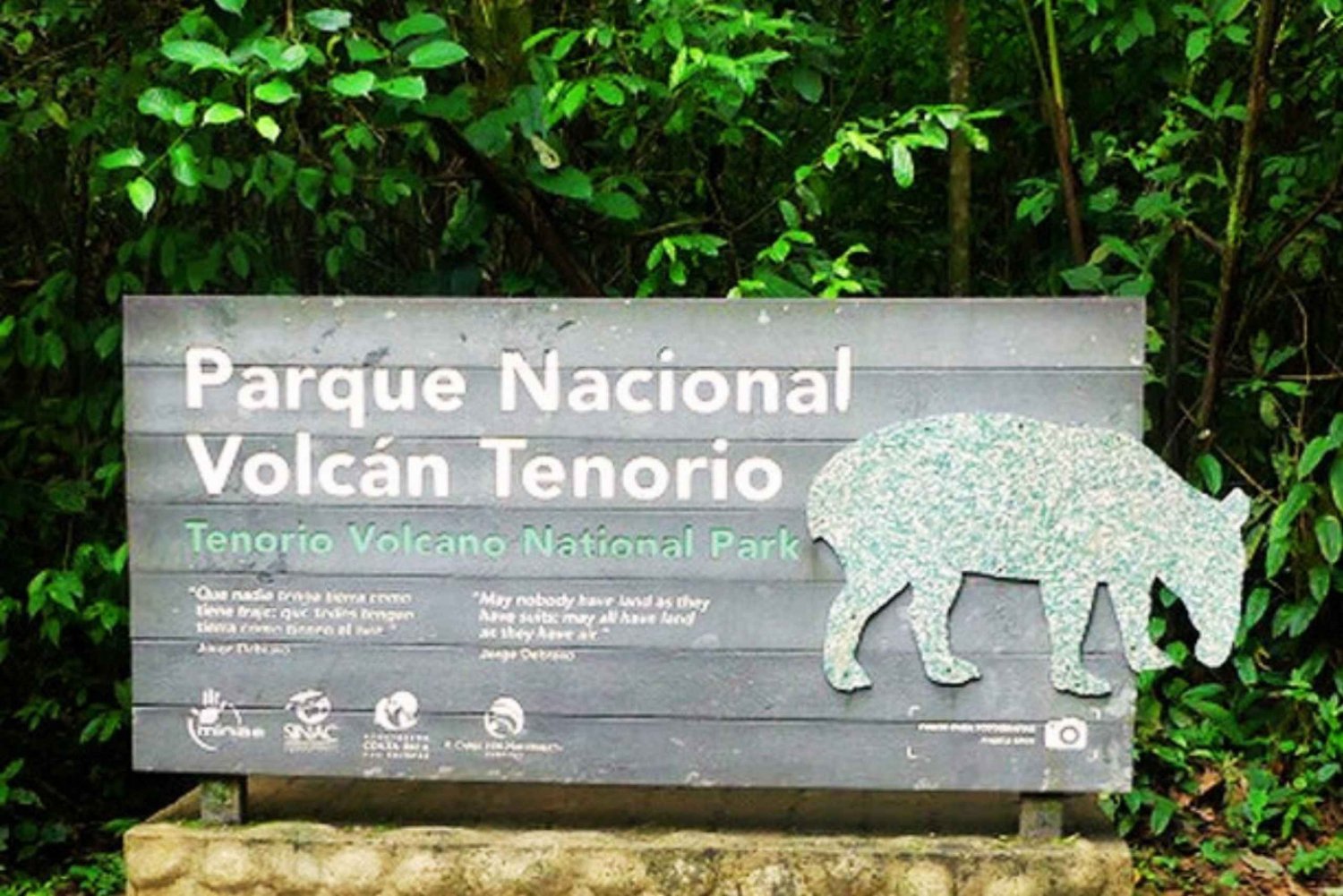 Parque Nacional Tenório: Visita guiada e experiência com preguiças