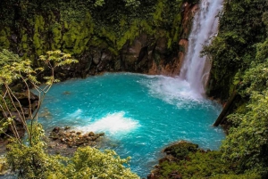 Tenorio National Park: Guidet tur og dovendyrsoplevelse