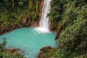 Tenorio National Park: Geführte Tour und Faultier-Erlebnis