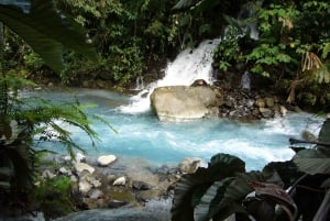 Blue River Resort & Hot Springs: Heldags eventyr