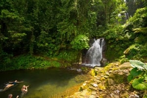 Das Blue River Resort & Hot Springs: Ganztägiges Abenteuer
