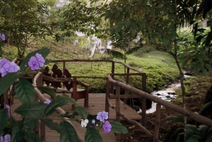 The Blue River Resort & Hot Springs: Full-Day Adventure