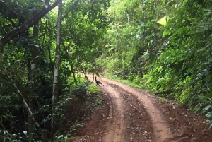 Utforskarens vattenfallstur
