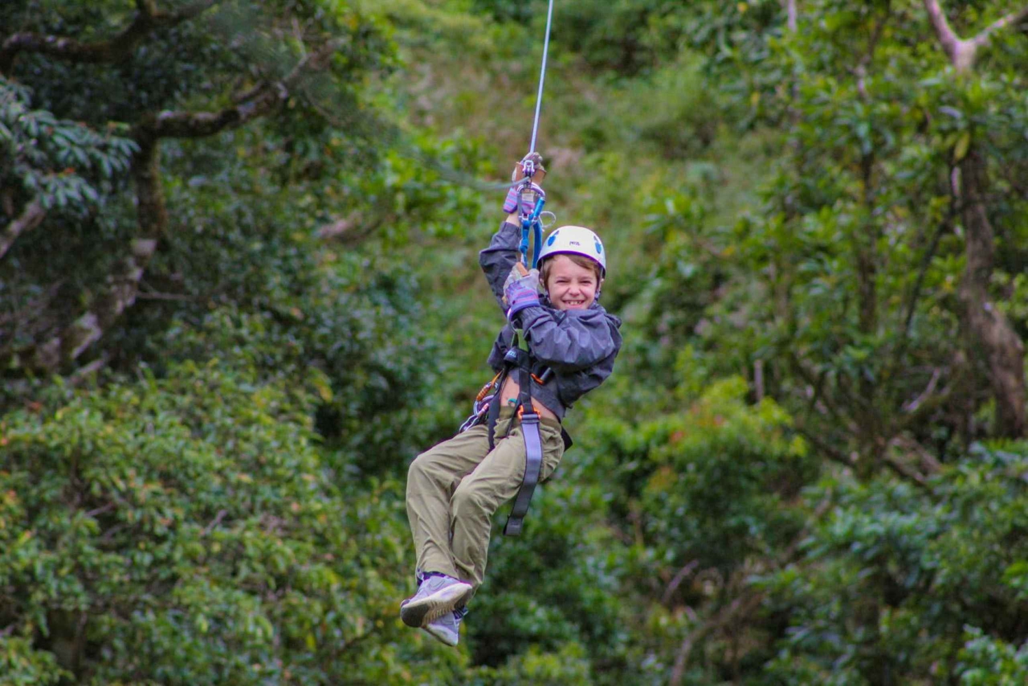 Alkuperäinen Canopy Tour Monteverde
