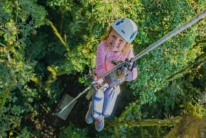 The Original Canopy Tour Monteverde