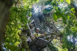 The Original Canopy Tour Monteverde