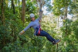 The Original Canopy Tour Monteverde