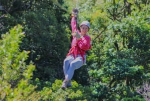 The Original Canopy Tour Monteverde