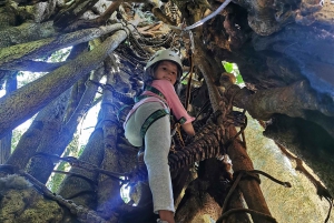 Alkuperäinen Canopy Tour Monteverde