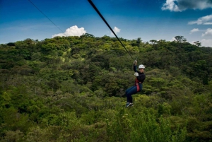 Alkuperäinen Canopy Tour Monteverde