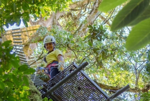 Alkuperäinen Canopy Tour Monteverde