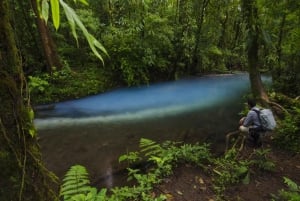 Billet pour la cascade Rio Celeste et le parc national Tenorio