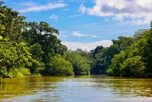 Tortuguero boat tour, Maratopia tropical garden & beach, incl. fruit