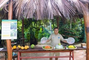 Tortuguero boat tour, Maratopia tropical garden & beach, incl. fruit