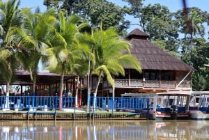 Tortuguero boat tour, Maratopia tropical garden & beach, incl. fruit