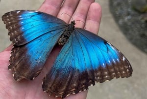 Tortuguero boat tour, Maratopia tropical garden & beach, incl. fruit