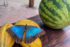 Tortuguero boat tour, Maratopia tropical garden & beach, incl. fruit