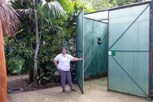 Tortuguero boat tour, Maratopia tropical garden & beach, incl. fruit