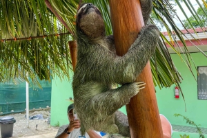 Wycieczka łodzią po Tortuguero, tropikalny ogród i plaża Maratopia, w tym owoce