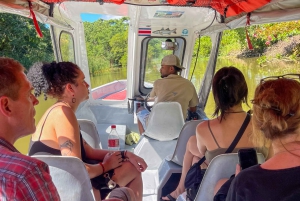 Wycieczka łodzią po Tortuguero, tropikalny ogród i plaża Maratopia, w tym owoce