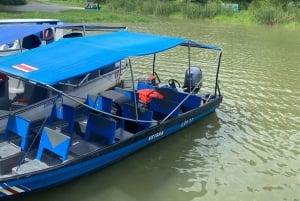 Tortuguero Canal Tour with history from Limon