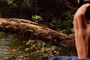 Tortuguero Canal Tour with history from Limon