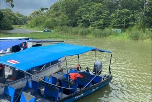 Tortuguero Canal Tour with history from Limon