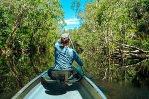 Tortuguero: Passeio de canoa e pacote turístico de nidificação de tartarugas