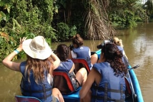 Tortuguero: Tour in canoa e avvistamento della fauna selvatica
